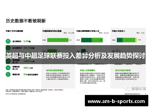 英超与中超足球联赛投入差异分析及发展趋势探讨
