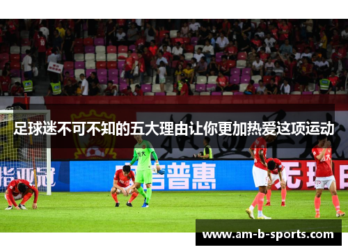 足球迷不可不知的五大理由让你更加热爱这项运动